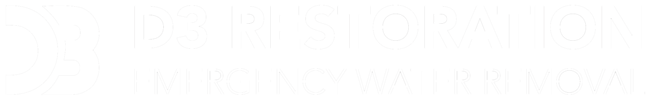 Water Restoration West Michigan