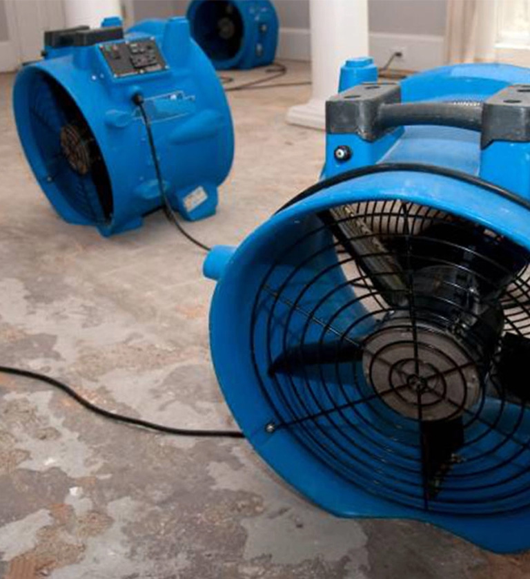 Fan For Water Damage Removal Grand Rapids Mi