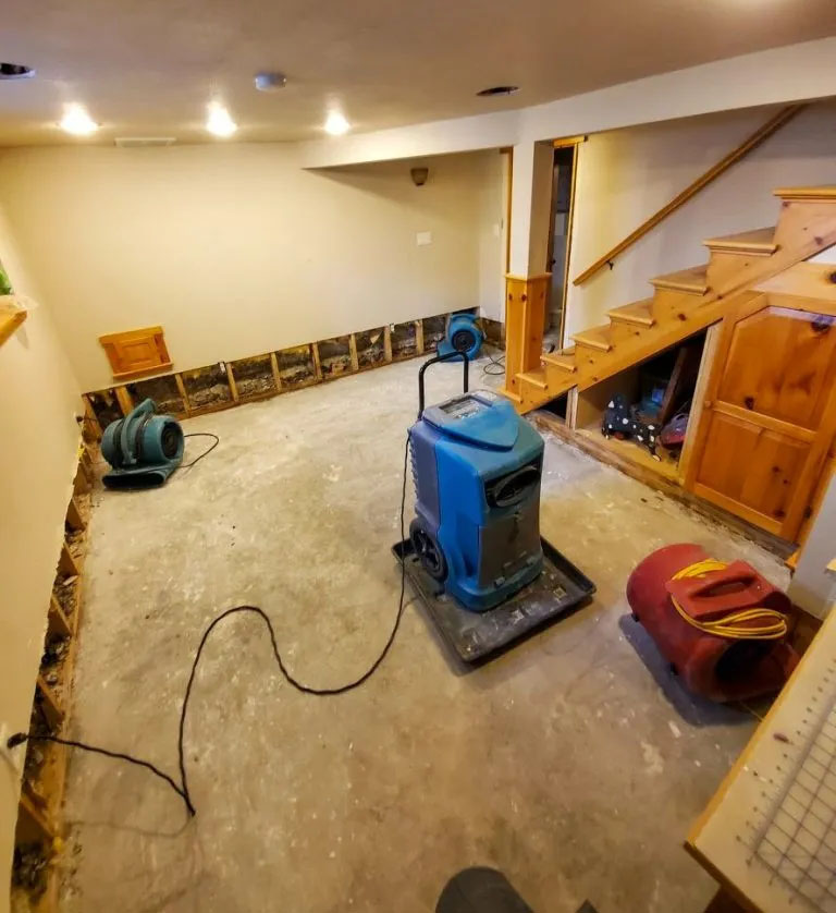 Water Damage Removal Byron Center MI